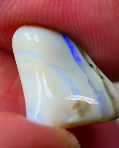 Lightning Ridge Rough Seam opal fresh from the wash 5.5cts Showing a Bright blue bar to chase 15x12x7mm Auction122