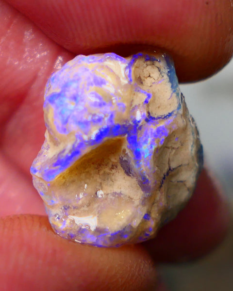 Lightning Ridge Untouched Crystal Knobby opal 8.15cts Vivid Vibrant Electric BLues showing through out suit being carved 17x15x5mm Auction155