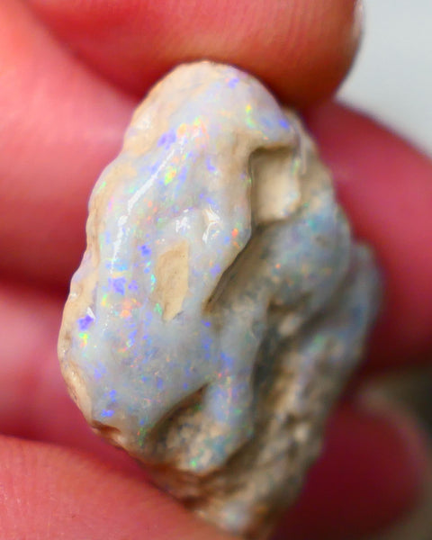 Lightning Ridge Knobby opal formation rough 25.00cts Displaying nice Pastel tones & colours of Multifires 21x20x9mm Auction154