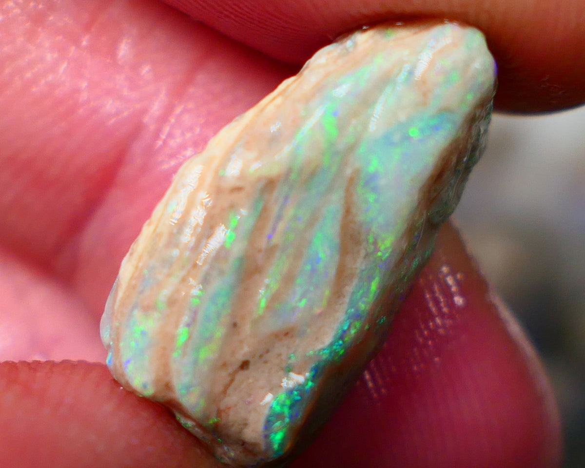 Lightning Ridge Stacked/layer opal formation rough 12.00cts Lots of Nice Multicolour on display here who wants to gamble or collect ? 22x13x7mm Auction152