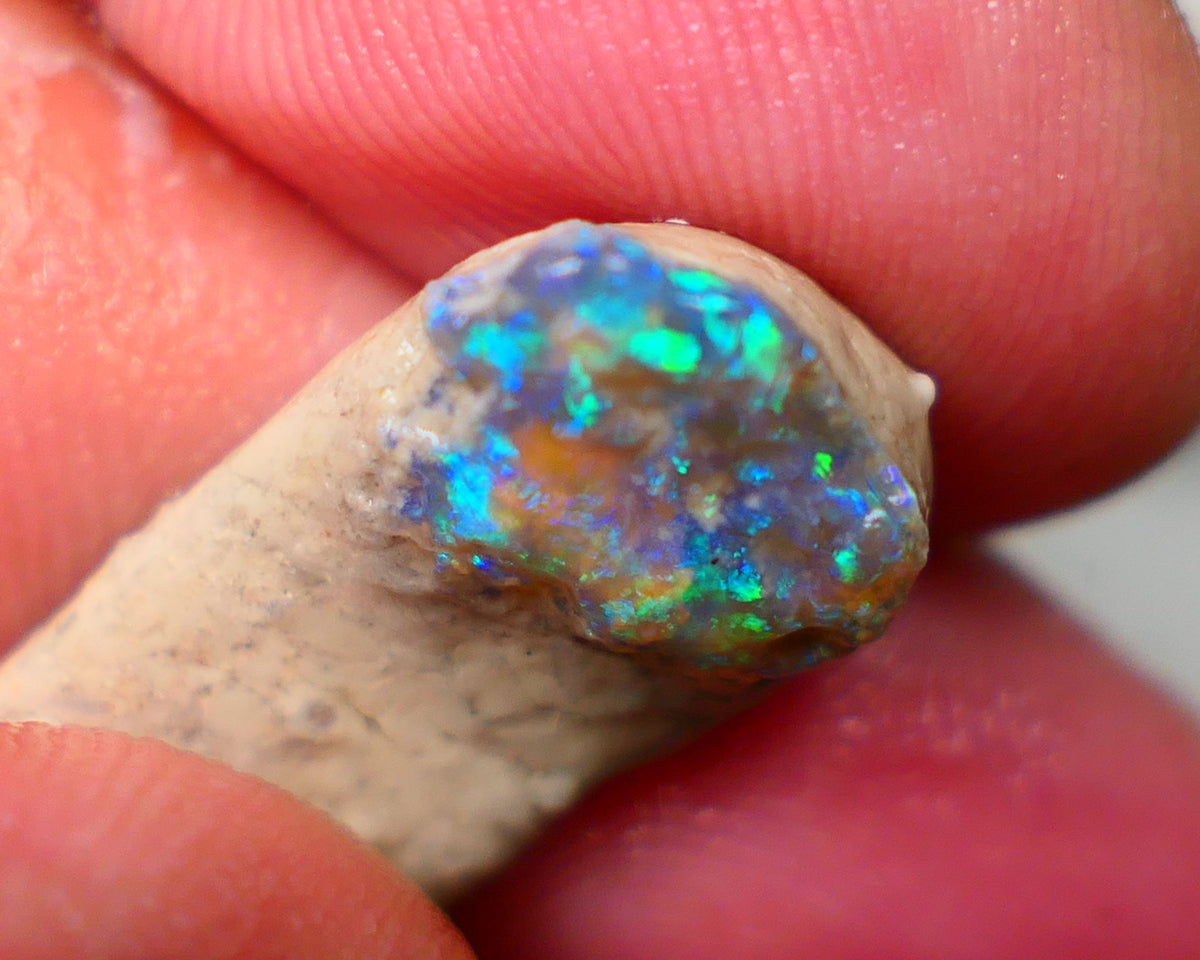 Lightning Ridge Dark Base Crystal knobby opal formation rough 13.50cts Showing nice Blue/green tones of colour 30x12x7mm Auction150