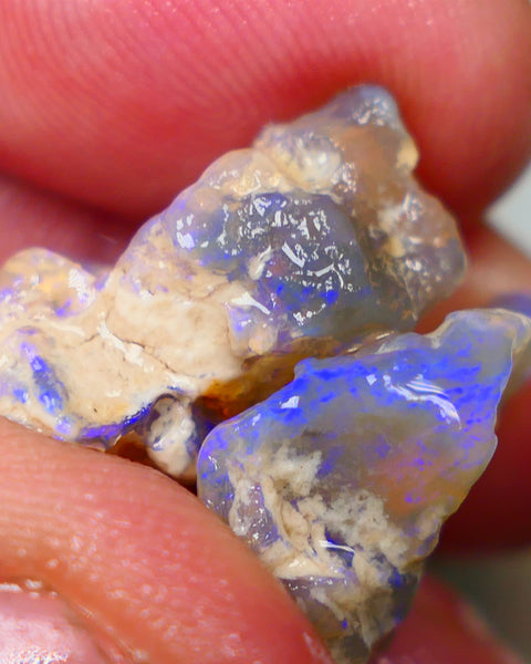 Lightning Ridge Pair of Crystal Knobby opal rough 31.00cts Showing lots of blues colours sold as gamble 21x16x10mm & 21x18x9mm Auction149