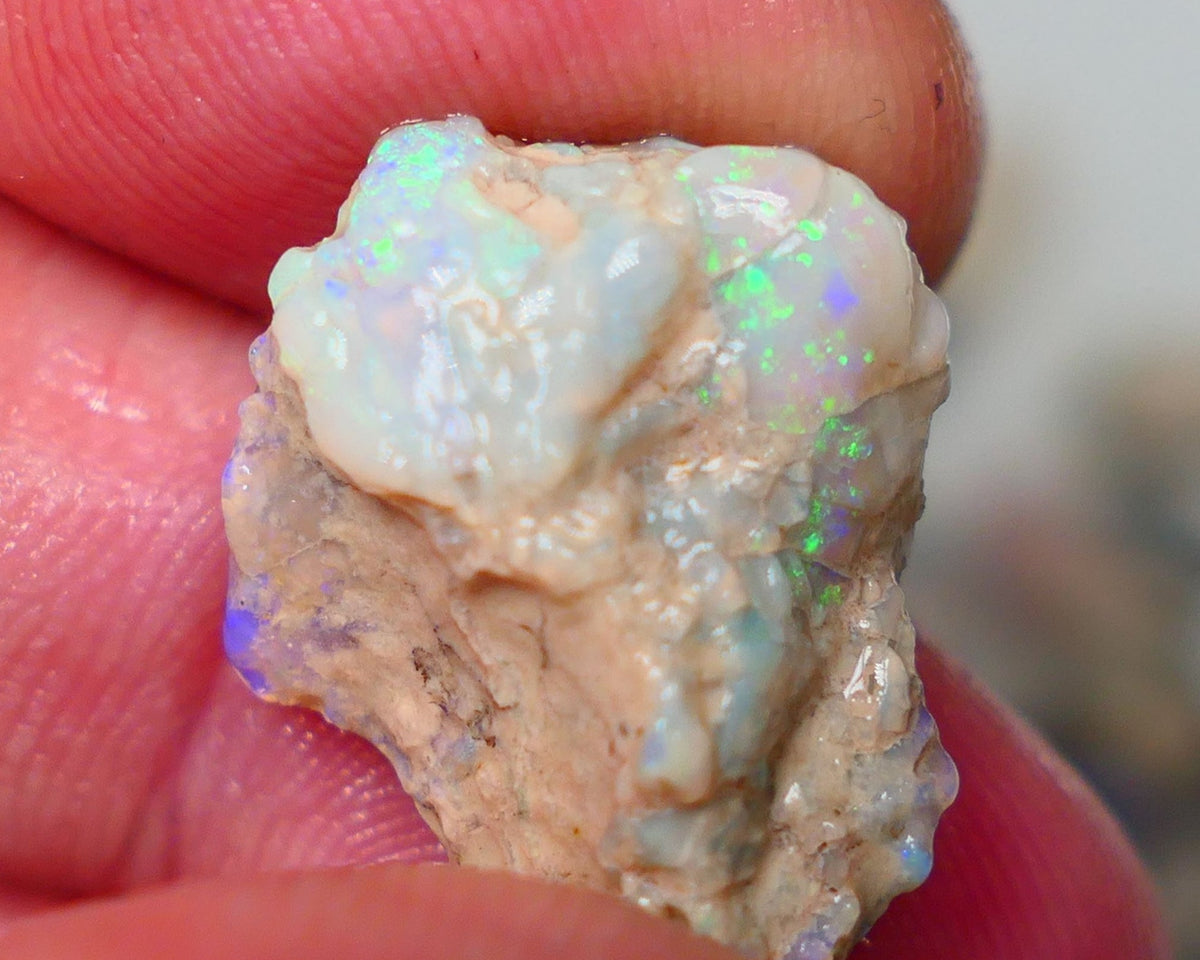 Opal Fever Mate Auction