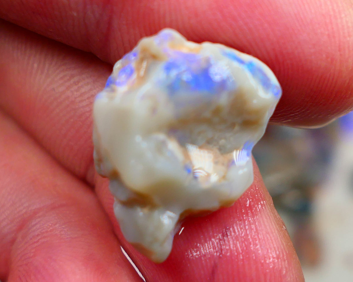 Lightning Ridge Rough Opal 14.00cts Bright Blues showing on Grey base Sold as gamble 20x16x11mm Auction169