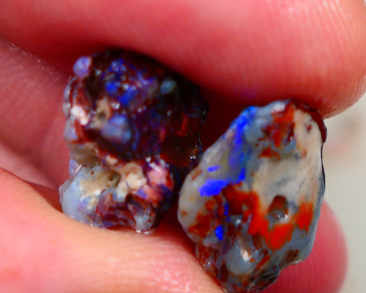 Lightning Ridge Rough Dark Base knobby opal rough pair 10.50cts Both displaying Bright blue fires to gamble 15x10x6mm & 13x10x8mm Auciton162