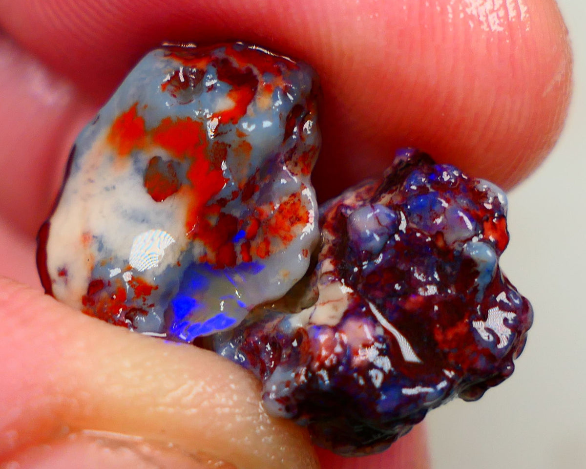 Lightning Ridge Rough Dark Base knobby opal rough pair 10.50cts Both displaying Bright blue fires to gamble 15x10x6mm & 13x10x8mm Auciton162