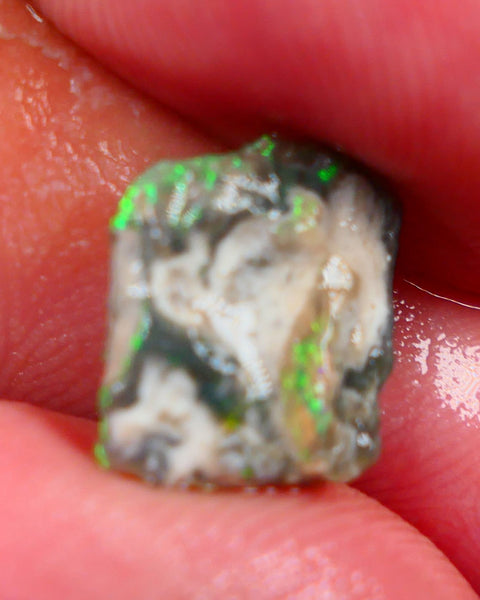 Millions of years in the Making a Lightning Ridge Opalised wood fossil untouched 2.70cts Bright Yellow/Green dominant M.fires sat on dark base 12x11x4mm Auction161