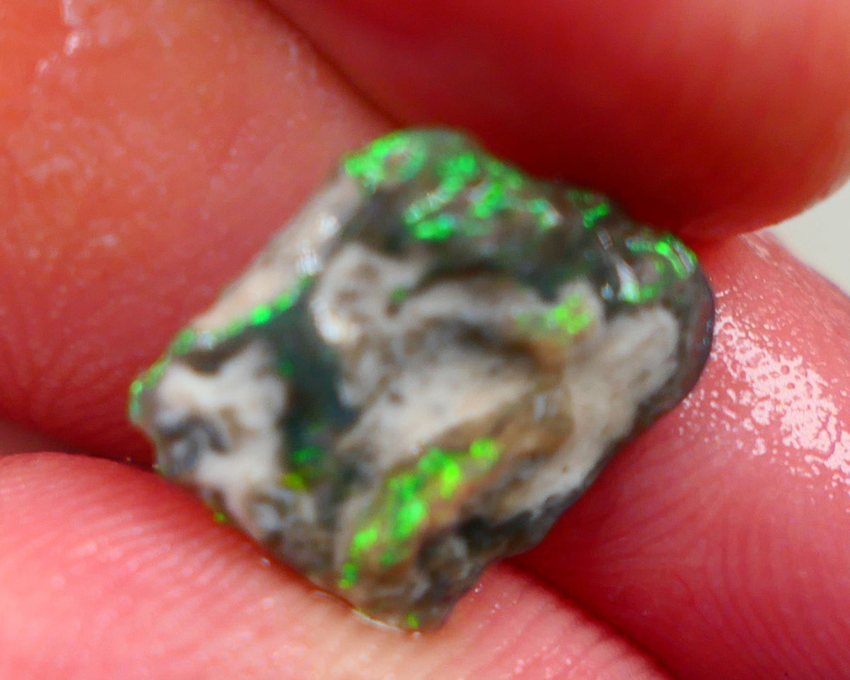 Millions of years in the Making a Lightning Ridge Opalised wood fossil untouched 2.70cts Bright Yellow/Green dominant M.fires sat on dark base 12x11x4mm Auction161