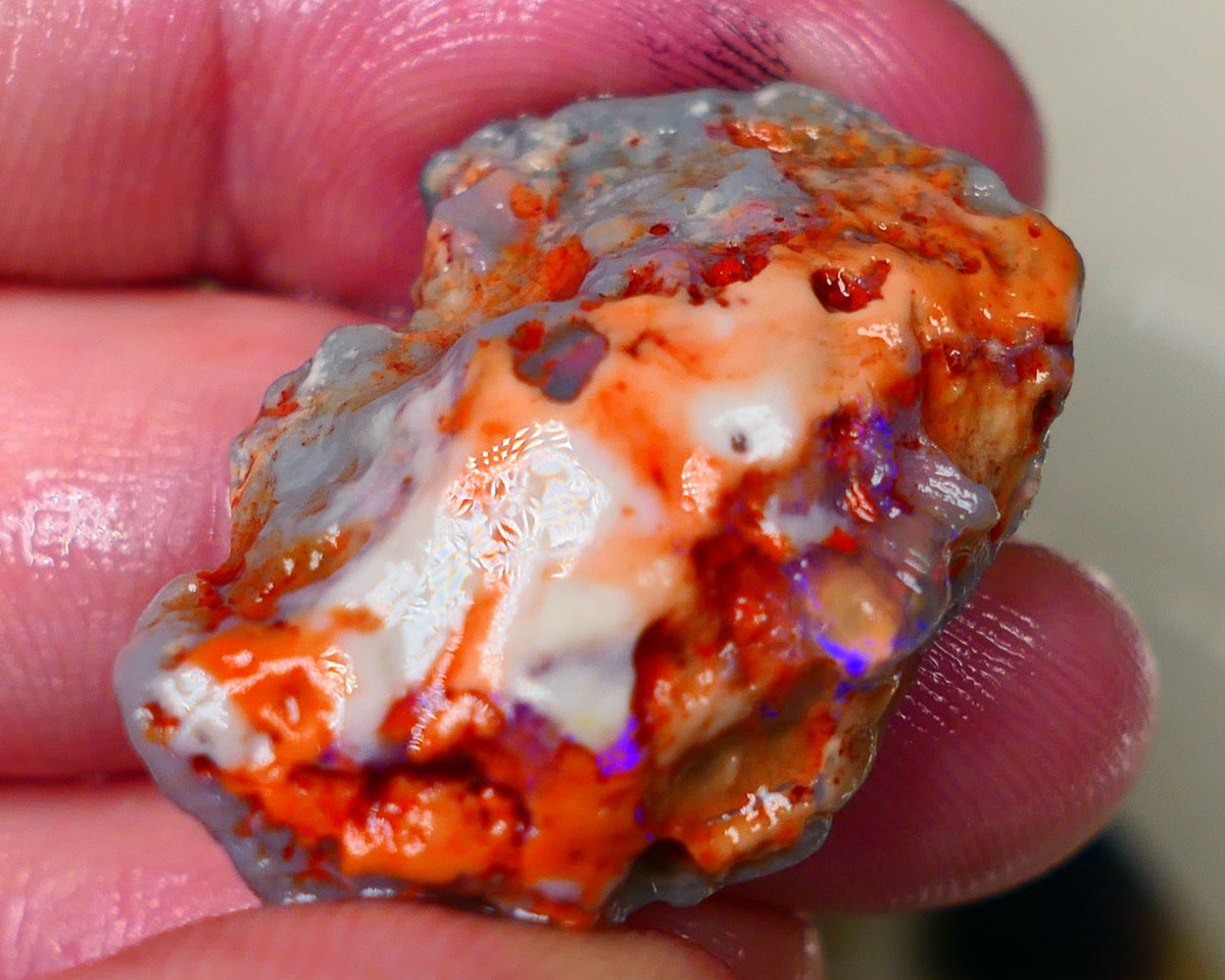 Lightning Ridge dark base knobby opal 29.00cts Showing hints of Bright Blue fires to gamble 29x20x10mm Auction177