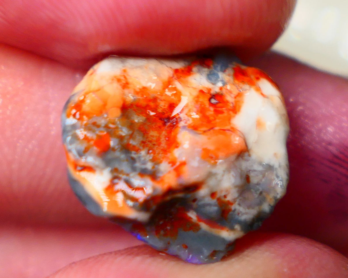 Lightning Ridge Untouched Witches Hat Knobby opal rough 8.25cts Tempting fires with nice blue tones showing through the skin 17x15x7mm Auciton187