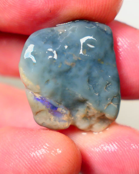 Lightning Ridge Dark base clipped knobby opal 26.00cts Bit of a bar of blue fires showing at one end sold as gamble 24x19x9mm Auction175