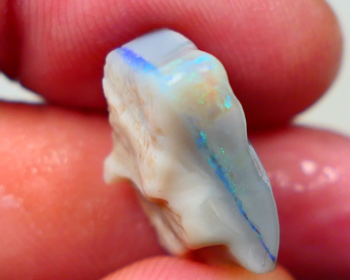 Lightning Ridge Seam opal Dark base 11.75cts Bright Blue bar with some Green fires 19x11x8mm Sold as gamble Auction173