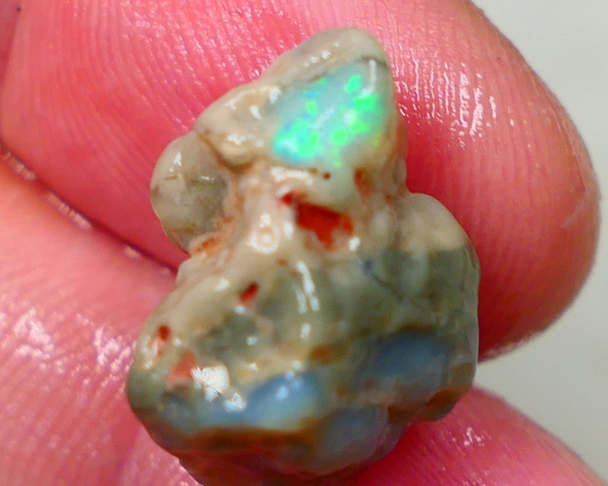 Lightning Ridge Dark base knobby opal formation 11.50cts Green/Blue fires showing sold as gamble 20x12x11mm Auction172