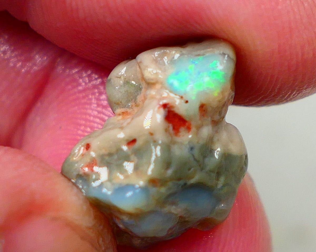 Lightning Ridge Dark base knobby opal formation 11.50cts Green/Blue fires showing sold as gamble 20x12x11mm Auction172