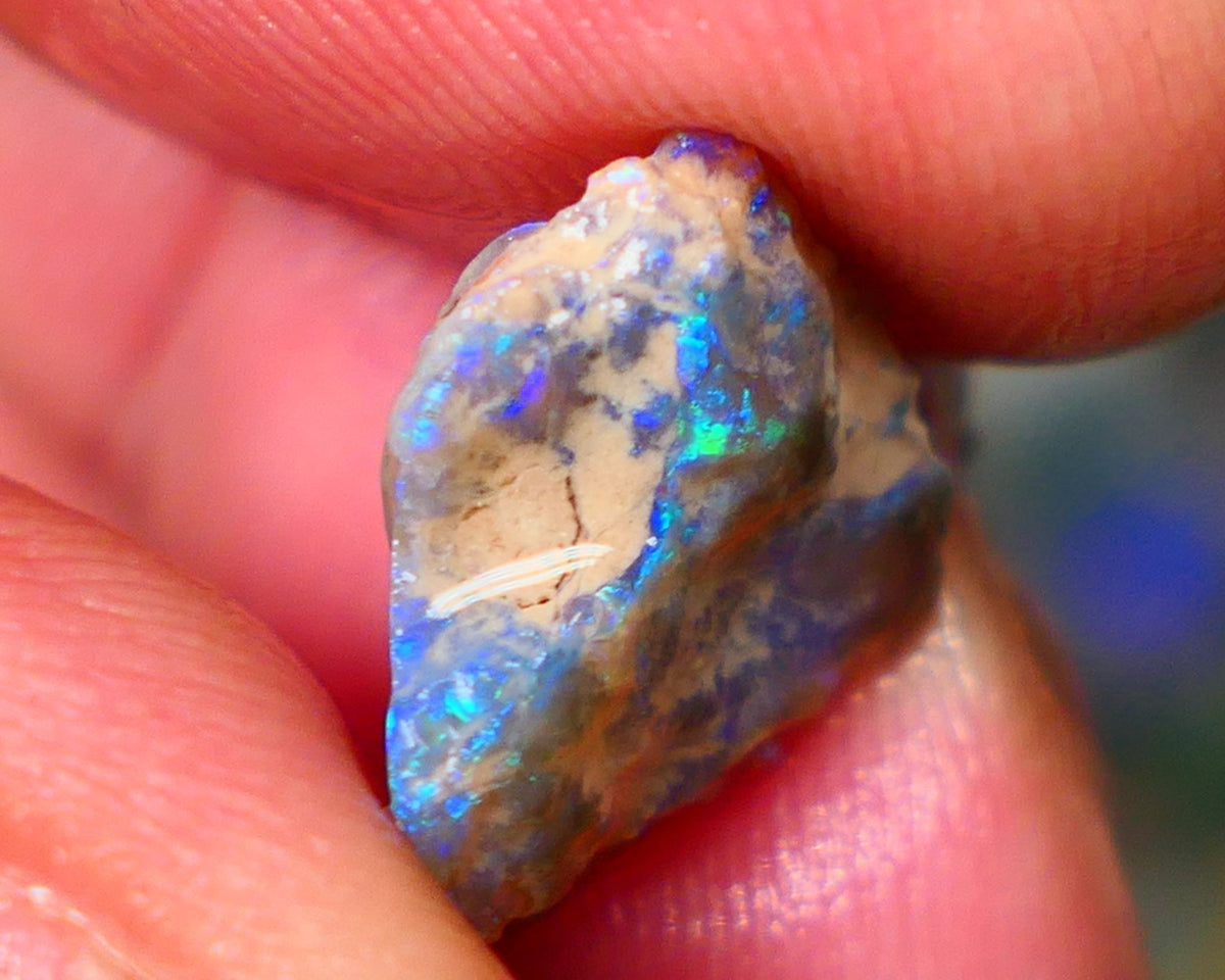 Lightning Ridge Dark Base Knobby opal rough Gamble 5.00cts Bright fires with gorgeous blue tones with flashes of greens 15x13x5mm GMB-009