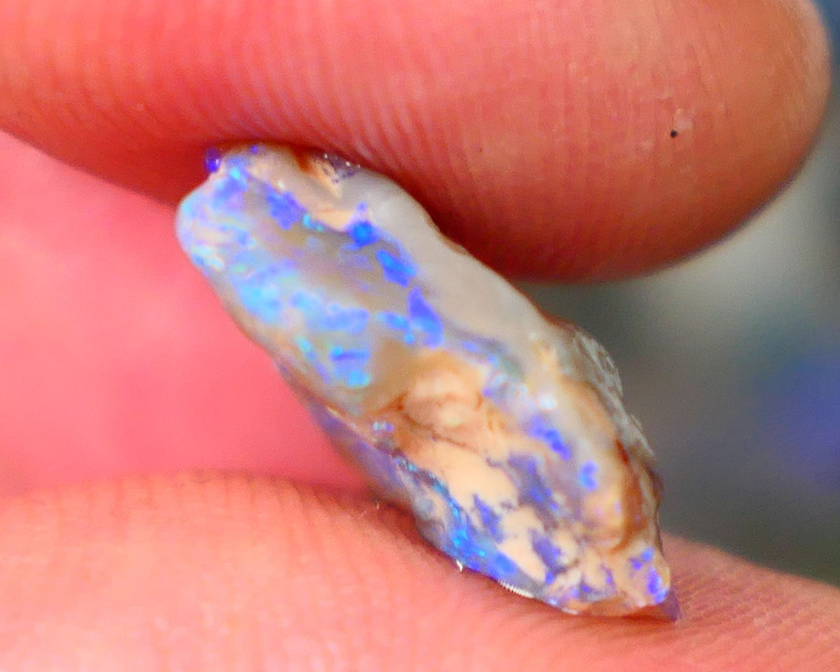 Lightning Ridge Dark Base Knobby opal rough Gamble 5.00cts Bright fires with gorgeous blue tones with flashes of greens 15x13x5mm GMB-009