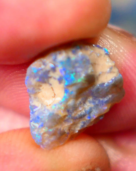 Lightning Ridge Dark Base Knobby opal rough Gamble 5.00cts Bright fires with gorgeous blue tones with flashes of greens 15x13x5mm GMB-009