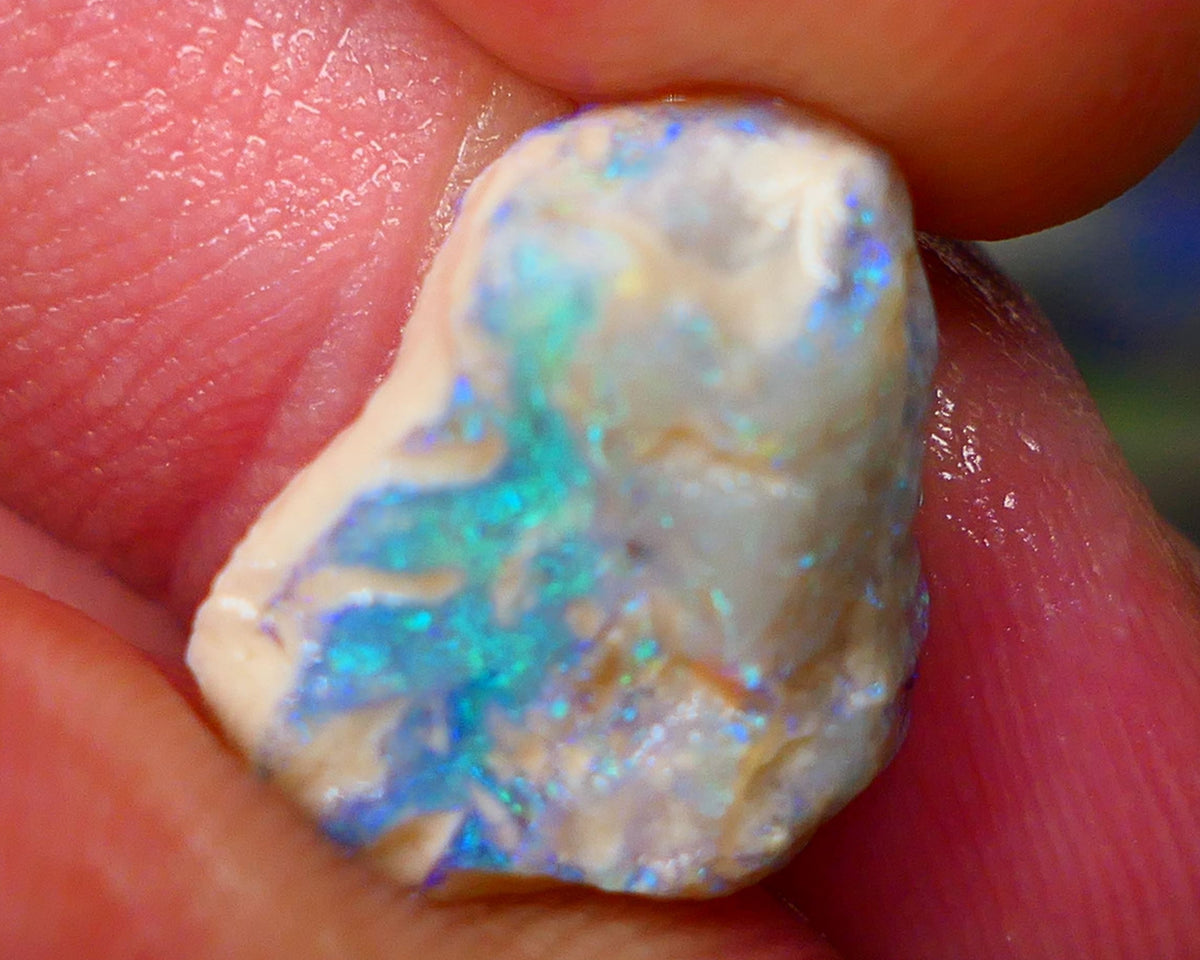 Lightning Ridge Dark Crystal knobby opal formation 7.25cts Gorgeous Green & Blue tones sold as gamble 16x13x7mm GMB-005