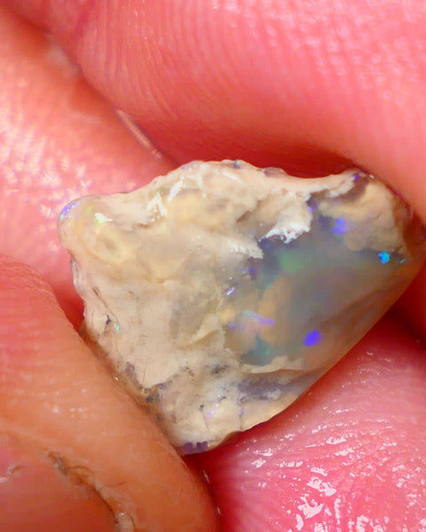 Lightning Ridge Knobby opal formation 3.45cts Gorgeous Multifires showing Sold as Gamble 14x11x4mm GMB-002