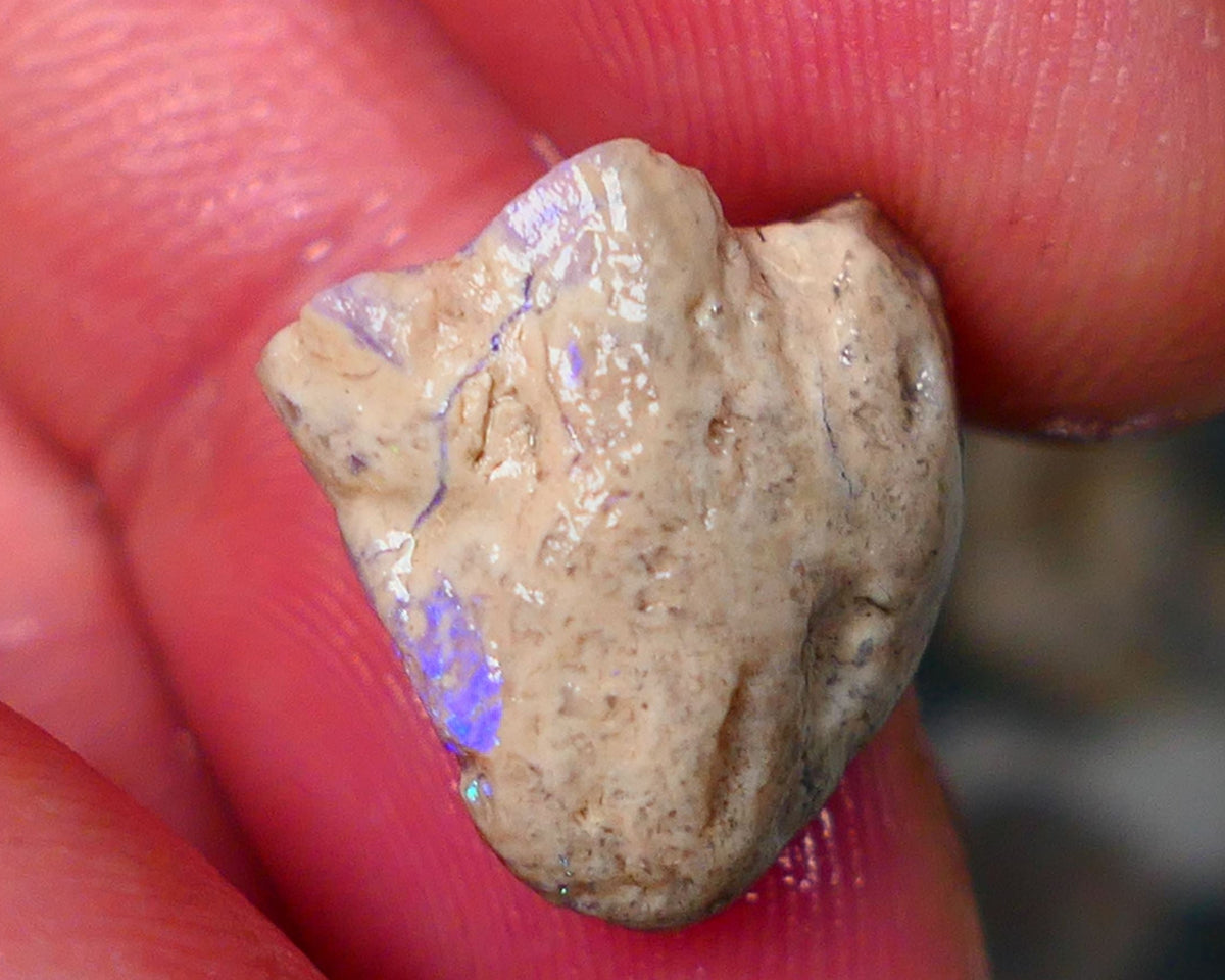 Lightning Ridge Opal formation rough 12.25cts Veins of gorgeous Green& blue fires to gamble  15x14x12mm GMB-062