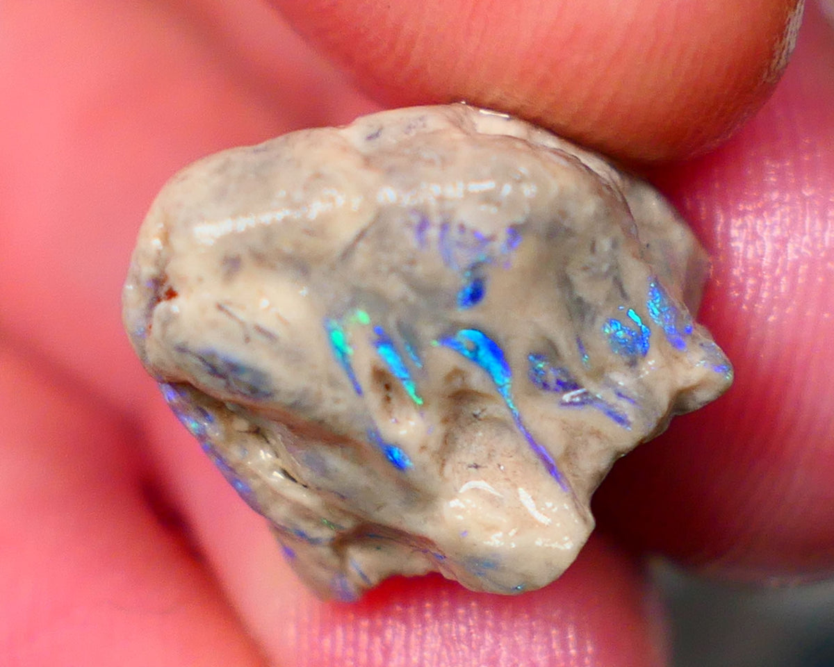 Lightning Ridge Opal formation rough 12.25cts Veins of gorgeous Green& blue fires to gamble  15x14x12mm GMB-062