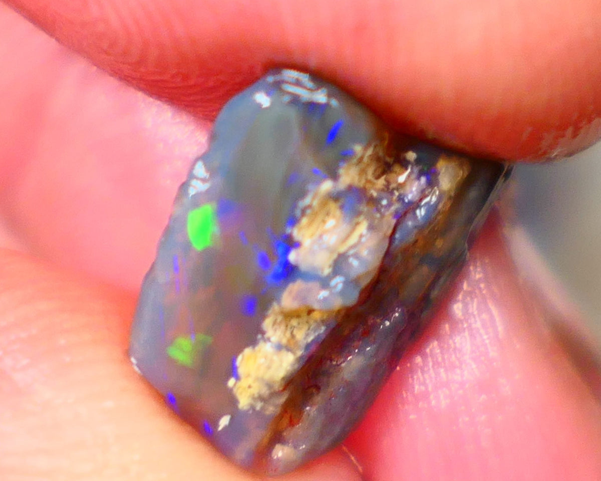 Lightning Ridge Dark Base Crystal Opalised wood fossil opal rough 3.00cts Green & Blue fire flashes  13x11x4mm GMB-061