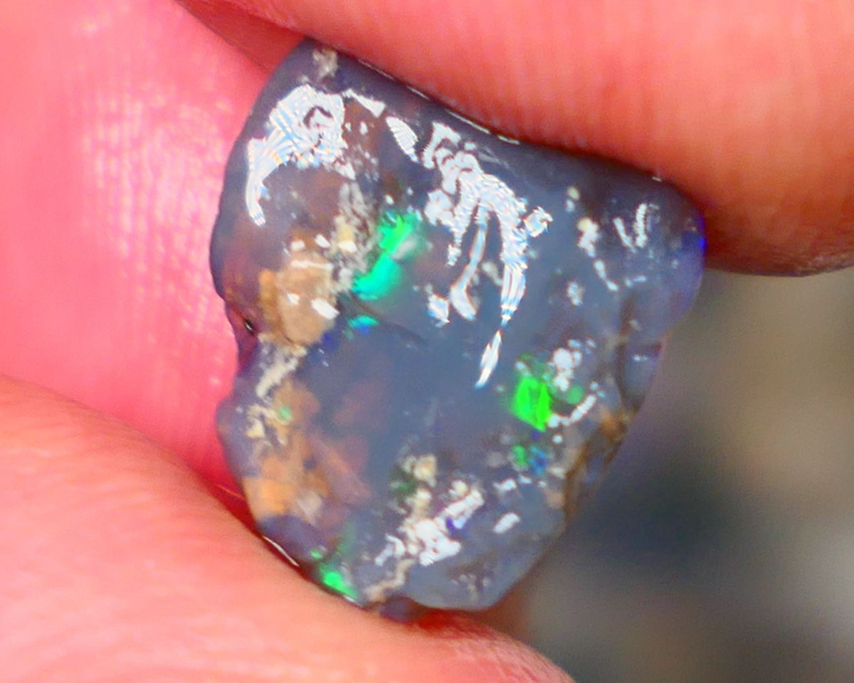 Lightning Ridge Dark Base Crystal Opalised wood fossil opal rough 3.00cts Green & Blue fire flashes  13x11x4mm GMB-061