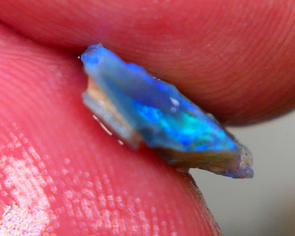 Mulga Small Gem Dark base seam opal rough 2.20cts Stunning Super Bright Electric Greens and Blues to cut 11x11x3mm GMB-014