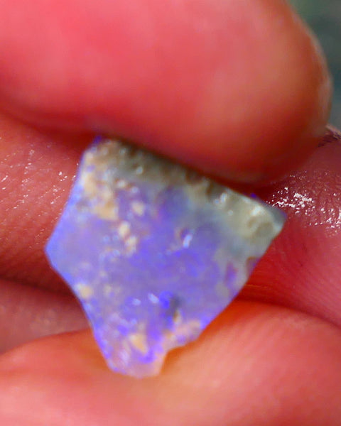 Lightning Ridge Dark base Crystal Seam opal 1.30cts Note this is thin So suit inlay/doublet etc Nice Bright Blue fires to work with 12x11x1.5mm GMB-025