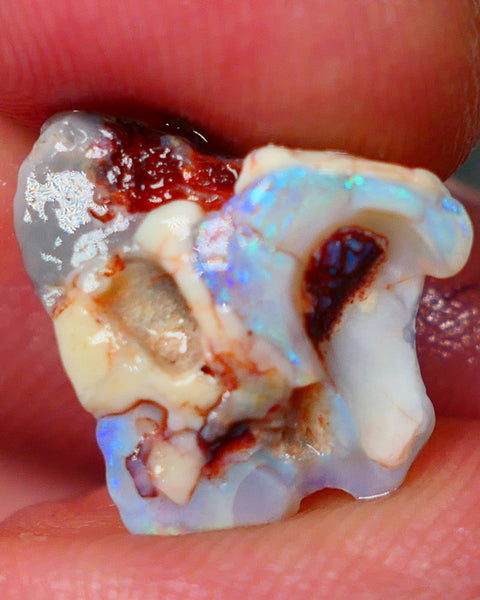 Lightning Ridge interesting looking opal formation rough 5.20cts Showing some blue & green fires 15x15x6mm GMB-024