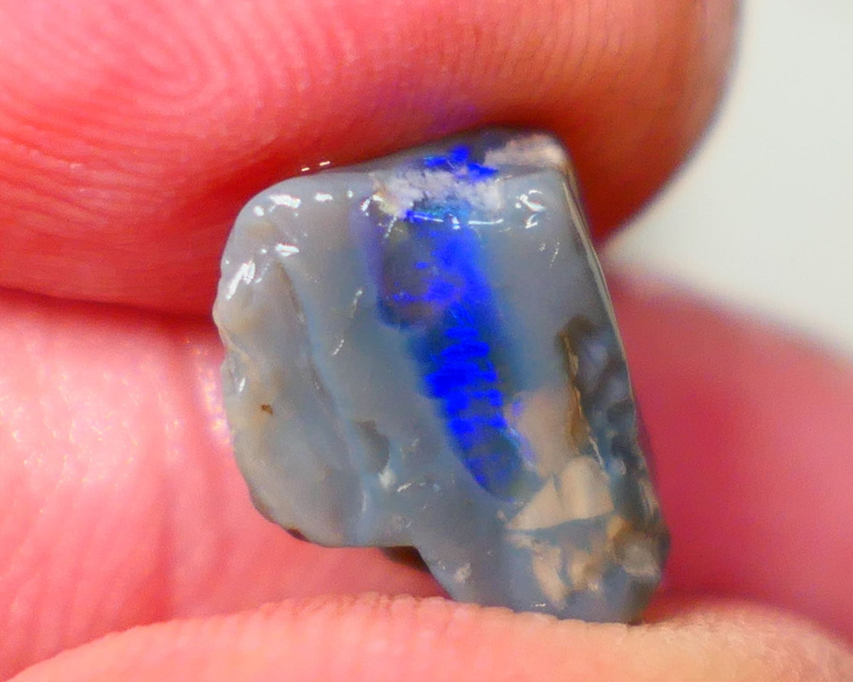 Lightning Ridge Dark base opalised wood fossil rough 3.75cts Stunning Vivid Vibrant Royal Blue fires 12x10x6mm GMB-020