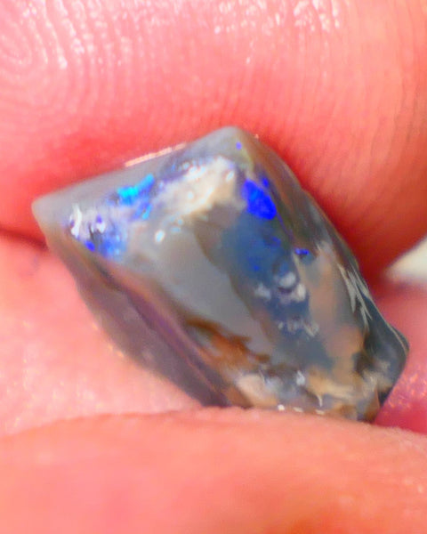 Lightning Ridge Dark base opalised wood fossil rough 3.75cts Stunning Vivid Vibrant Royal Blue fires 12x10x6mm GMB-020