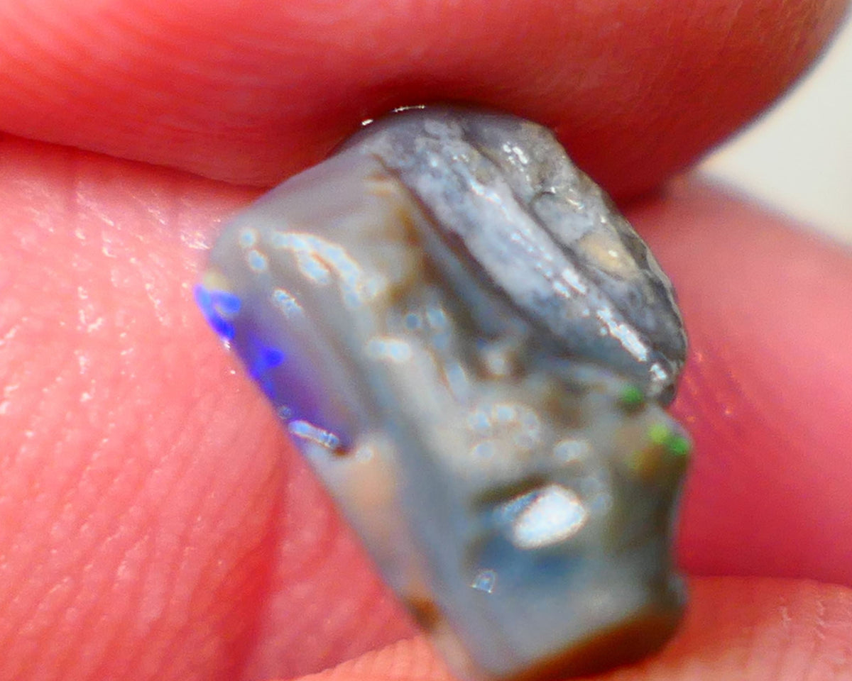 Lightning Ridge Dark base opalised wood fossil rough 3.75cts Stunning Vivid Vibrant Royal Blue fires 12x10x6mm GMB-020