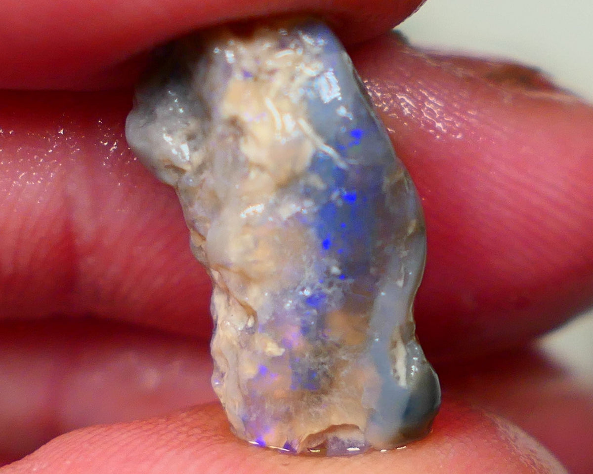 Lightning Ridge Dark Crystal knobby opal rough 7.00cts Bright Blue bar to expose sold as gamble 20x9x7mm GMB-048