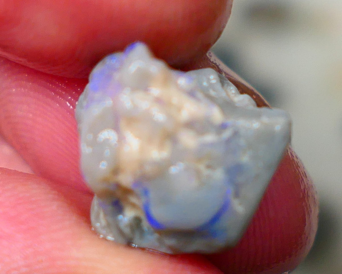 Lightning Ridge Untouched Dark base Knobby rough 7.50cts Blue fires sold as gamble 13x12x9mm GMB-045