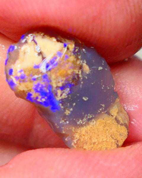 Lightning Ridge knobby opal formation rub/rough 3.00cts Displaying Bright Gorgeous blue fires 17x10x3mm  GMB-039