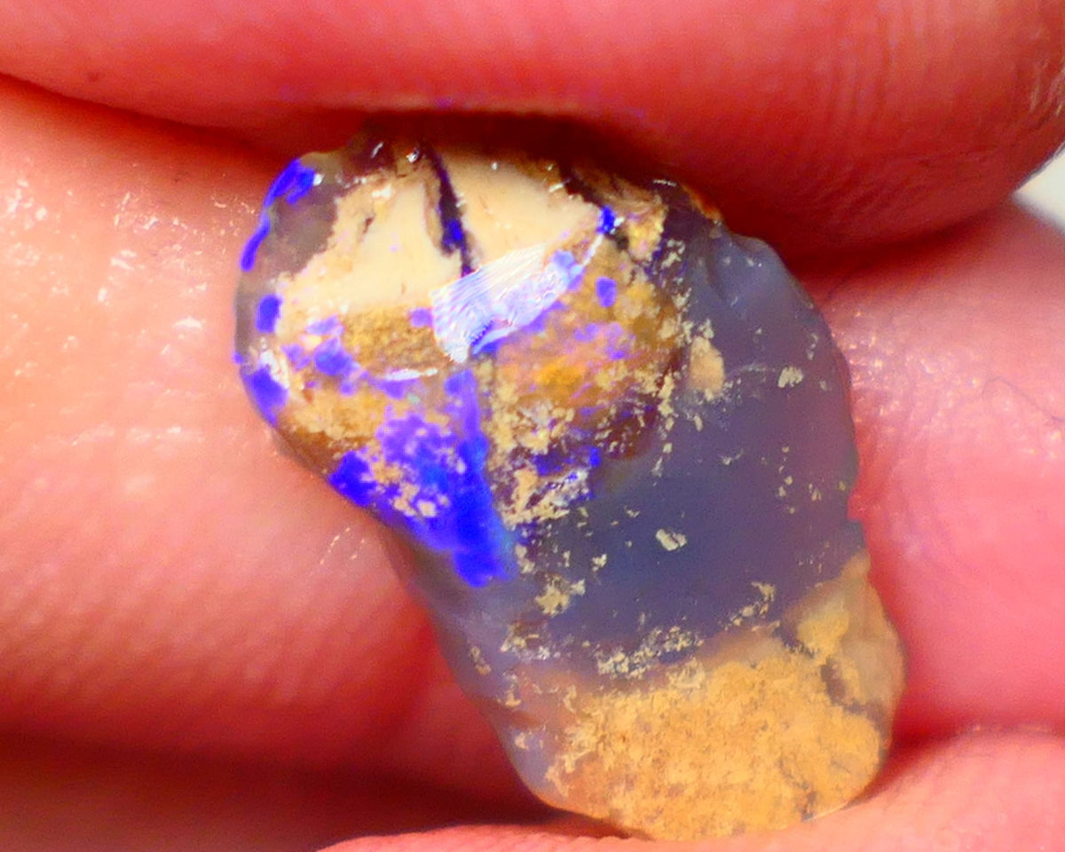 Lightning Ridge knobby opal formation rub/rough 3.00cts Displaying Bright Gorgeous blue fires 17x10x3mm  GMB-039