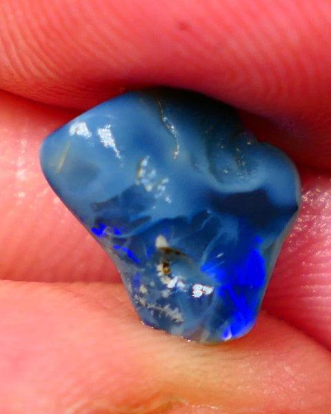 Lightning Ridge Dark base knobby rough opal 2.70cts Zone of Bright Vibrant Royal blues fires 12x9x4mm