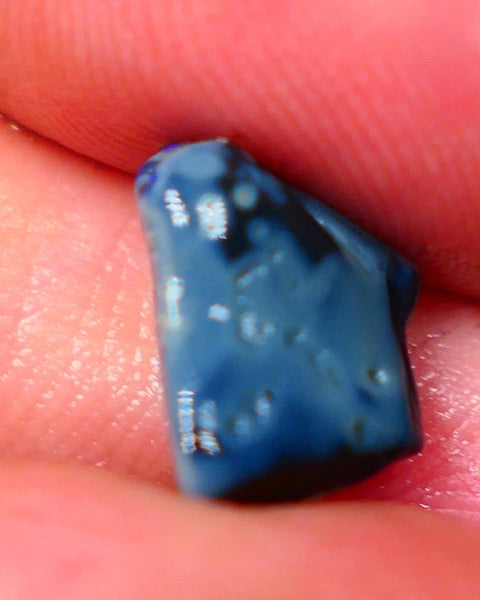 Lightning Ridge Dark base knobby rough opal 2.70cts Zone of Bright Vibrant Royal blues fires 12x9x4mm