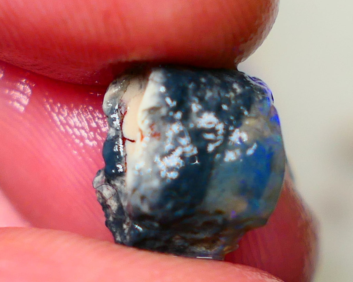 Lightning Ridge Dark Base knobby 4.00cts  Bright Blue colours to explore and gamble 12x8x7mm GMB-034