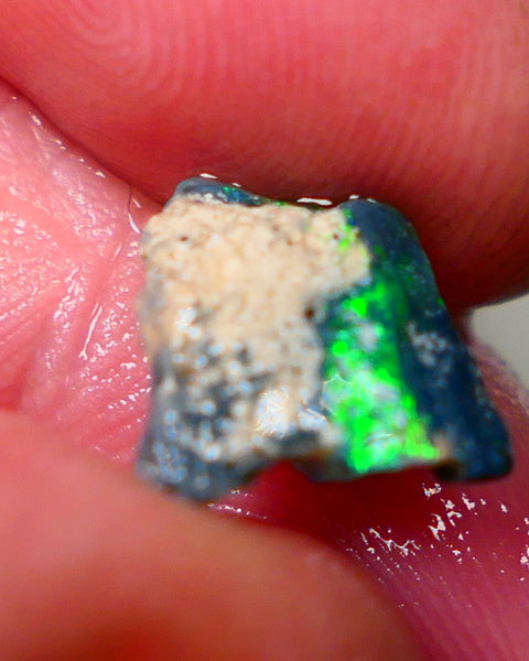 Lightning Ridge Black opal Fossil Rough 2.00cts Stunning Gorgeous Bright Green Dominant Multifires 11x10x4mm GMB-033