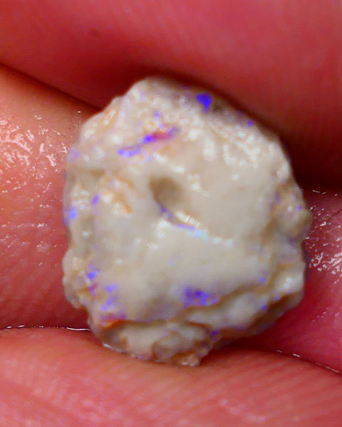 Lightning Ridge Untouched Light base knobby rough opal 3.75cts Blues showing through the skin 14x12x5mm Gamble GMB-031