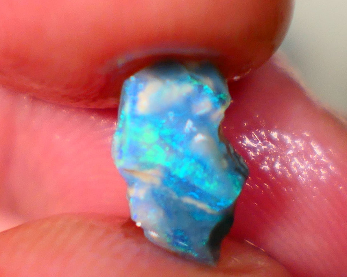 Lightning Ridge Black Seam opal rough 0.95cts Small for a pointer Greens & Blues 11x6x3mm GMB-029