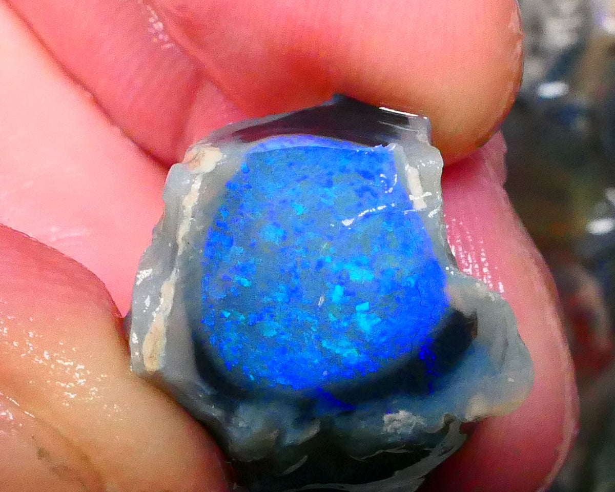 Big Sized Lightning Ridge Gem Dark Crystal base (semi Black) Knobby split 44.00cts Stunning Super Bright Green & blue dominant M.fires Gorgeous Confetti patterns  24x16x13mm & 23x18x15mm NSW103