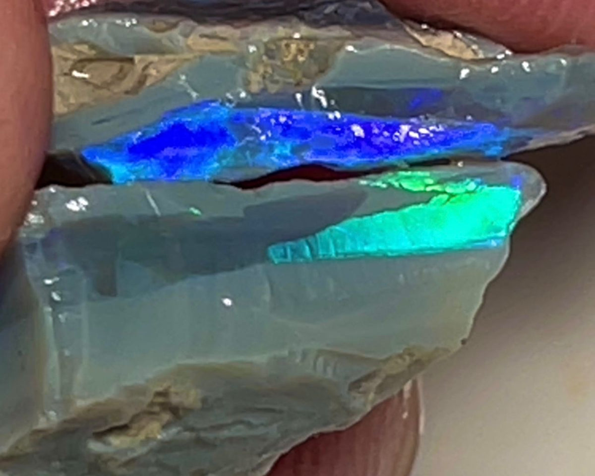 Lightning Ridge Rough Opal 16cts Pair Untouched Dark Base Seams Vivid Bright Multi colour fires to Cut / carve & polish 18x13x6mm & 20x11x5mm NSW004