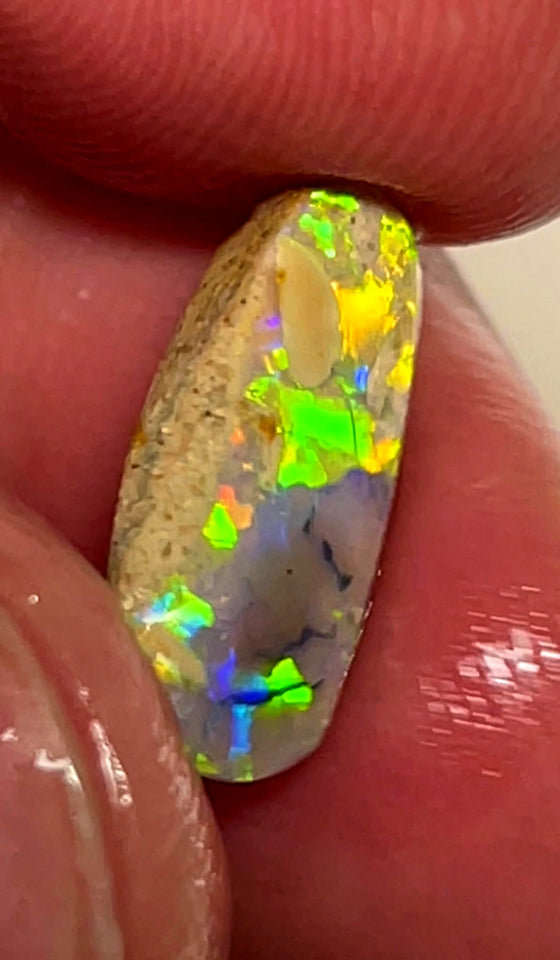 Lightning Ridge Opal Dark Base Crystal Knobby Rough Rub 3.00cts Super Vibrant & Bright Multifires  17x6x3 mm WAE53