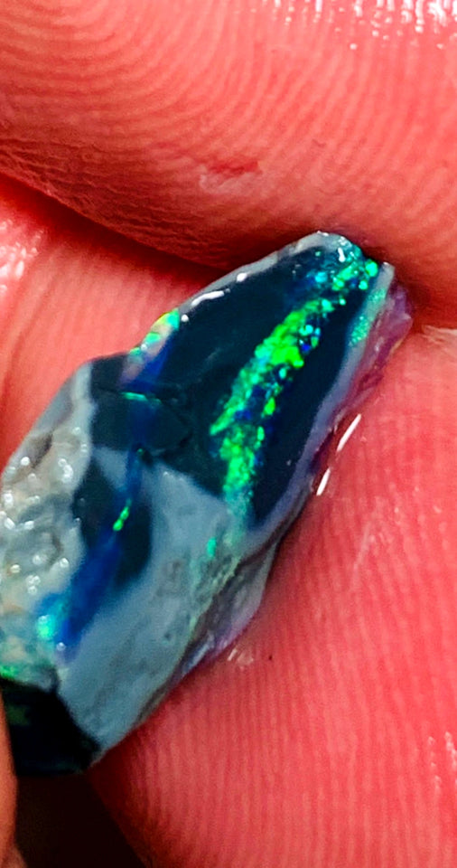 OPAL MONTH SPECIAL Lightning Ridge Rough Opal Black Seam 4.2cts Cutters Candy Exotic High Grade Super Bright Multifires 18x12x3mm WSZ91