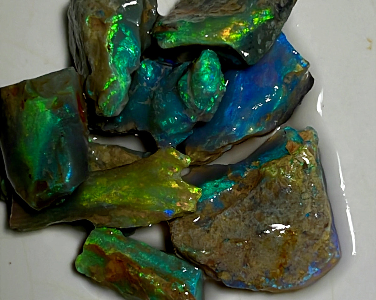 Lightning Ridge Rough Cutters Candy®  Dark & Crystal knobby & Seam Opal parcel 33cts Stunning Gorgeous Vibrant Bright Multifires & bars 16x14x3mm to 12x5x3mm  WAE38