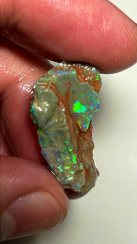 Opal Fever Mate Auction