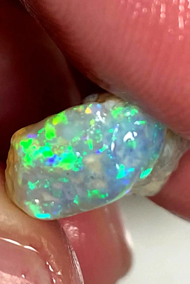 Opal Fever Mate Auction